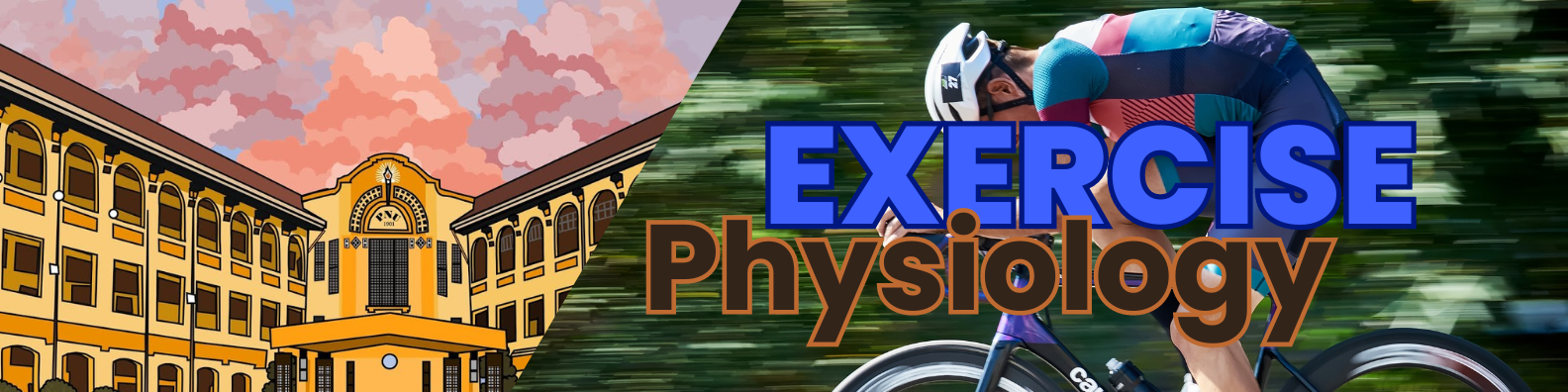PHYSIOLOGY OF EXERCISE AND PHYSICAL ACTIVITY - BPHED 2-II-27 2S-PHED03 (T/F 09:00AM-11:00AM/09:00AM-11:00AM)
