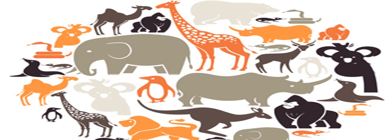 GENERAL ZOOLOGY - BSCIEBIO 2-II-21 2S-BIO02 (T/F 01:00PM-05:00PM/01:00PM-05:00PM)