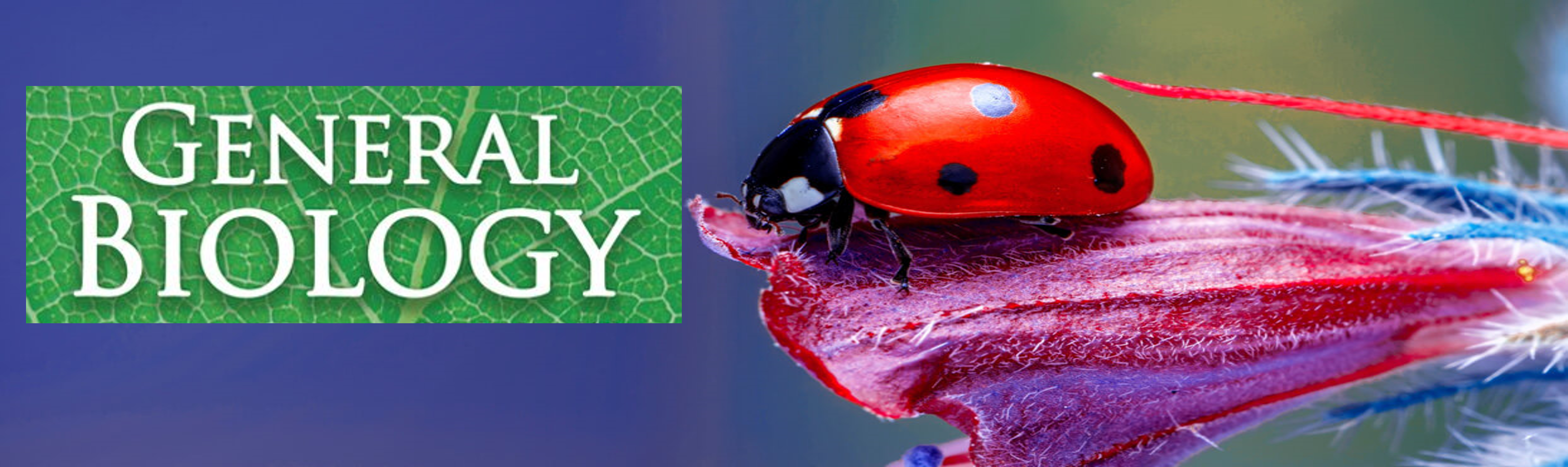 INTRODUCTION TO LIFE SCIENCES - BEED-MS 2-II-11 BEED MS TP-S-EEDMS07 (T/F 09:00AM-11:00AM/09:00AM-11:00AM)